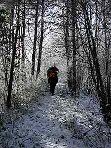 静寂の中、雪の踏み音を聴きながらひたすら登ります。ｂｙ西澤