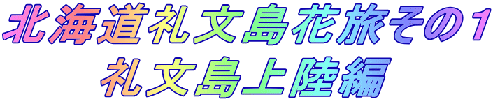 北海道礼文島花旅その１ 礼文島上陸編 